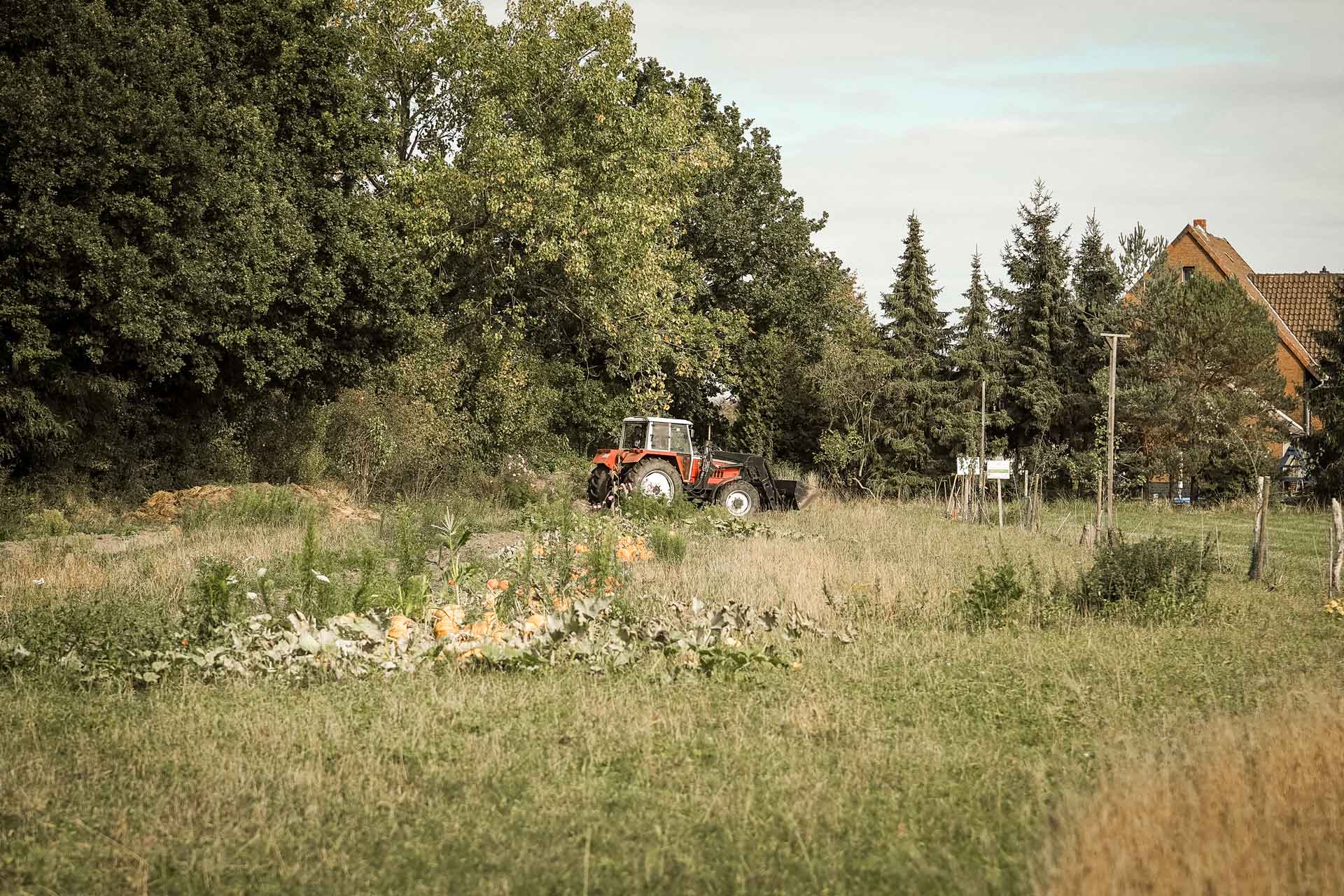 Ackerpaten Teamevents -für Teams, die unter Druck stehen zwischen Digitalisierung Fachkraeftemangel und wachsender mentaler-Erschoepfung